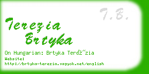 terezia brtyka business card